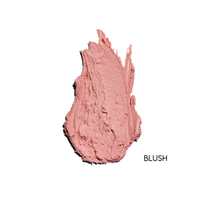 Sunforgettable® Total Protection® Color Balm SPF 50
