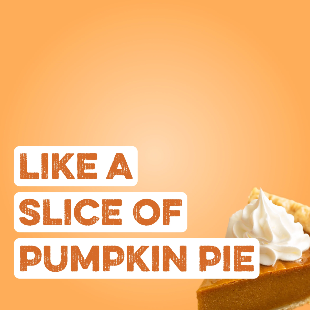 Protein Powder: Pumpkin Pie