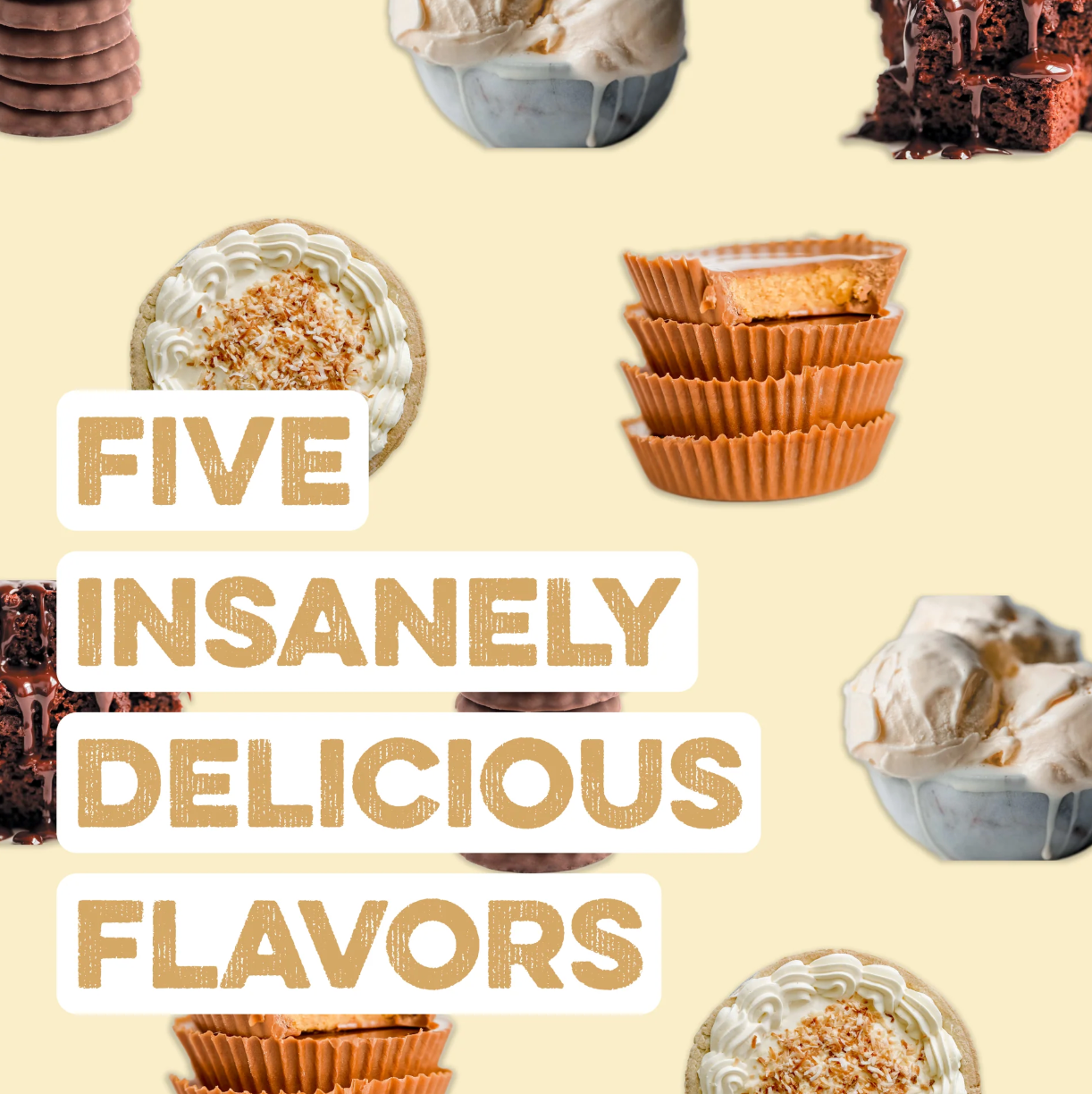 Protein Powder:  BEST SELLERS Variety Pack