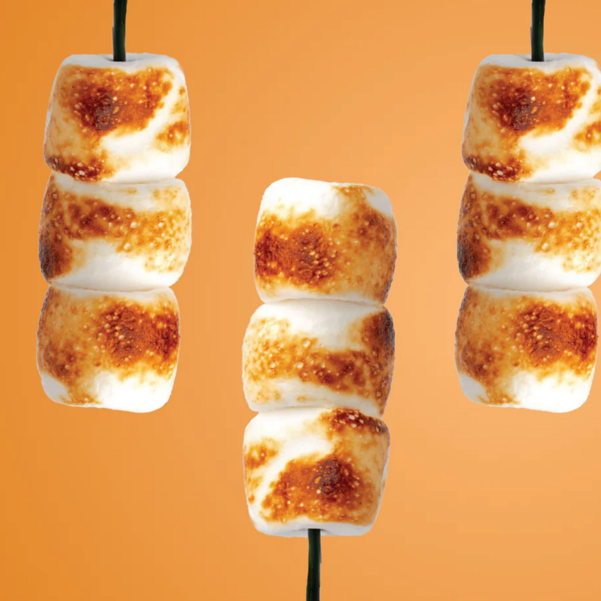Protein Powder: Toasted Marshmallow